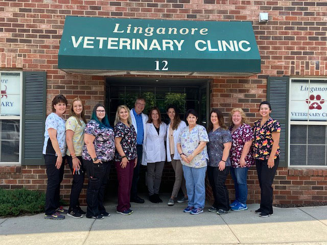 newmarket veterinary clinic